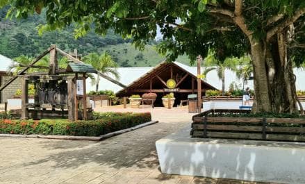 Punta Cana: Buggy and Zipline Adventure at La Hacienda