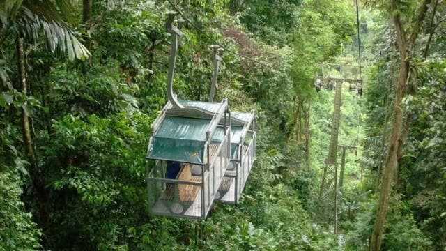 Puerto Limon: Veragua Rainforest & Tortuguero Canal Cruise