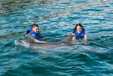 Puerto Plata: Ocean World Adventure Park Swim with Dolphins