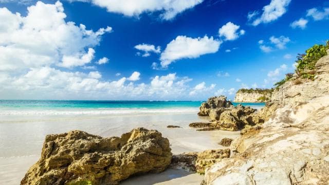 Punta Cana: Buggy Tour Adrenaline Rush Off-Road Adventure