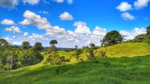 La Fortuna: Rainforest Nature Hike with Guide