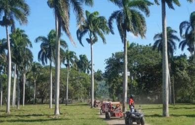 Puerto Plata: Buggy Tour with Cigar Factory & Beach Stop