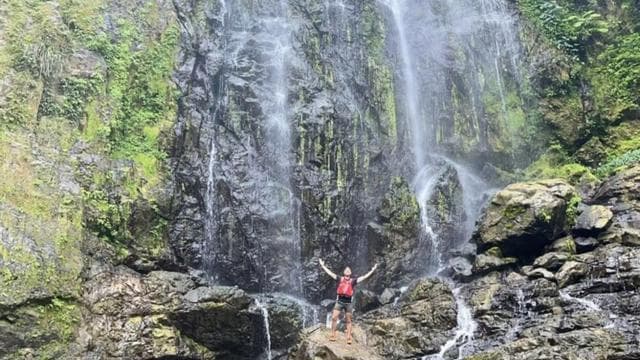 San Juan: Private Rainforest Waterfall Hike with Transport