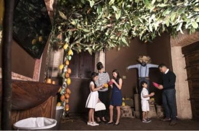 Santo Domingo: Chocolate Tour + Optional Workshops