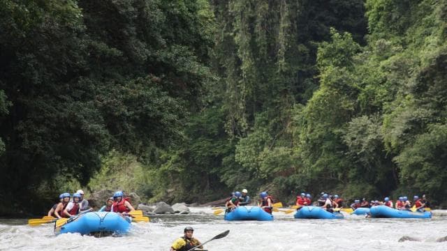 From San José: Pacuare River White Water Rafting Day Trip