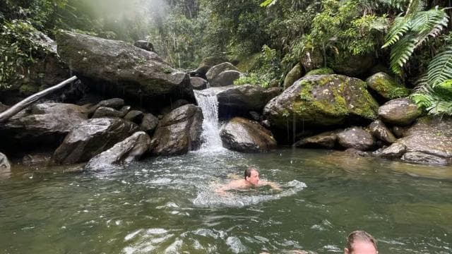 El Yunque: Hidden Off The Path Waterfall Hike w/ Transport