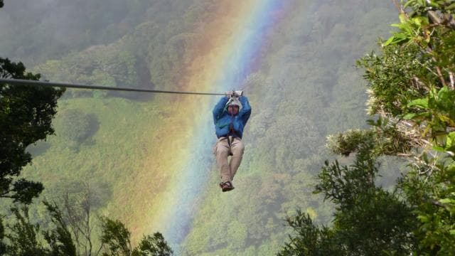 Monteverde: Jungle Zipline & Tarzan Swing with Transfer