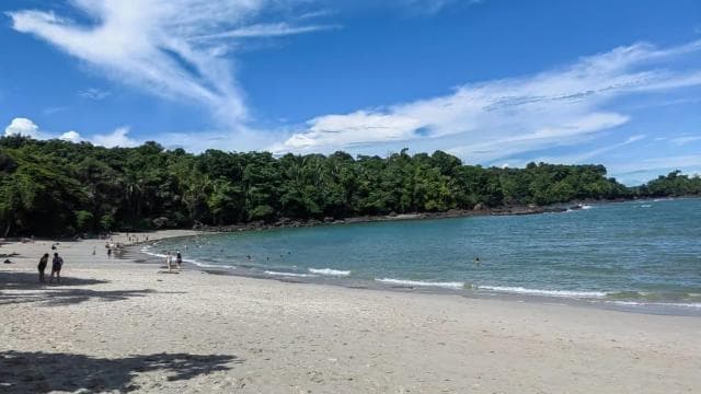 Manuel Antonio National Park: Guided Tour with ENTRANCE INCLUDED