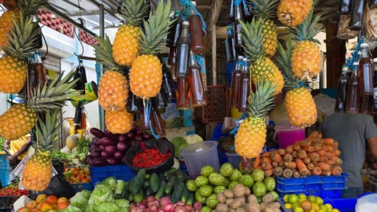 Small Group: Half Day Dominican Republic Cultural Tour