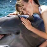 Dolphin Encounter for Dominican Residents