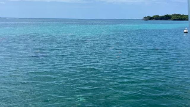 From La Parguera: Local Sandbars Speedboat Day Trip