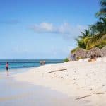La Romana: Catalina Island Full-Day Snorkeling Tour
