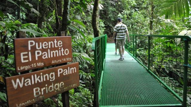 Arenal Hanging Bridges Half-Day Tour from La Fortuna