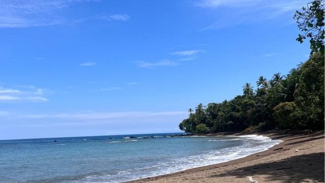 Uvita: Hiking in Corcovado National Park