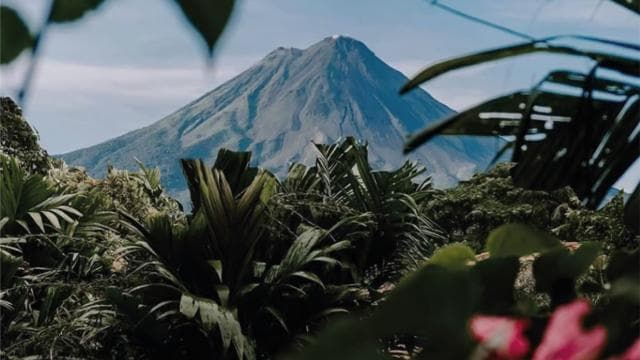 San José: Arenal Volcano and Hot Springs with Lunch