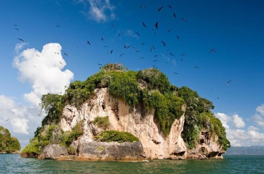 Los Haitises & Cayo Levantado Tour from Las Terrenas | $79 Ecotour Adventure