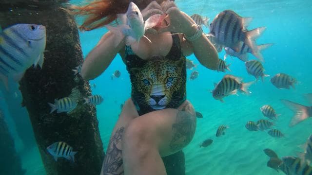 VIP Snorkeling with Turtles Adventure