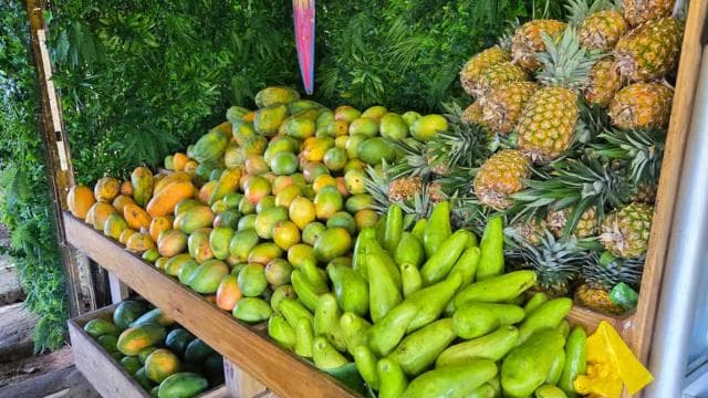 From San Juan: El Yunque Rainforest & Luquillo Kiosks Tour