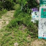 Bayahibe: National Park Jungle Walk & Snorkeling in Cenotes
