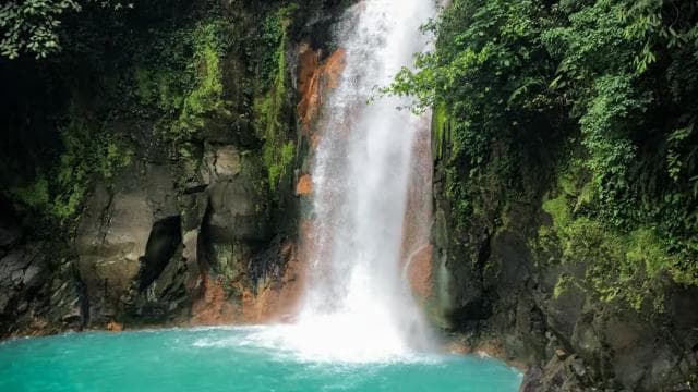 Rio Celeste, explore the rainforest and great waterfall