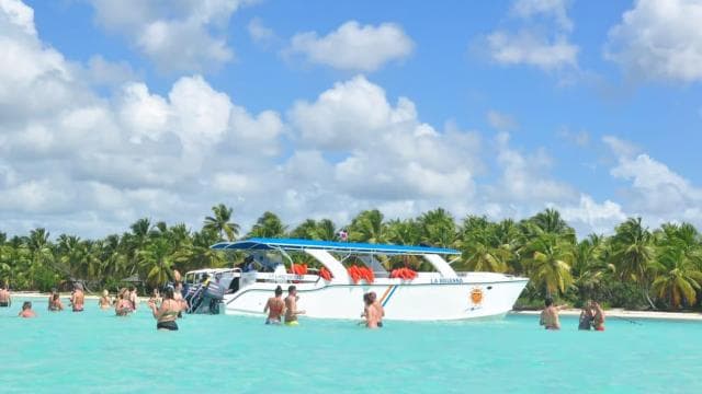 Punta Cana: Saona Island Day Trip