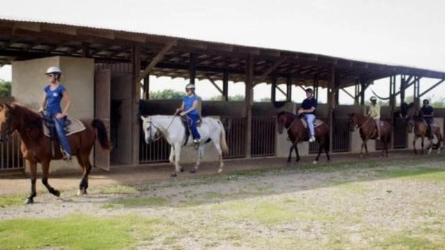 Scenic Horseback Riding Experience