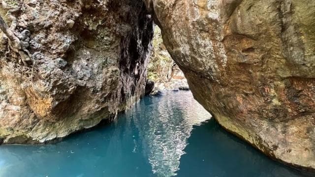 La Leona Waterfall Tour & Transportation