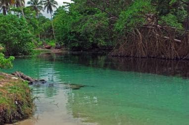 Playa Rincon Safari Adventure from Samaná special