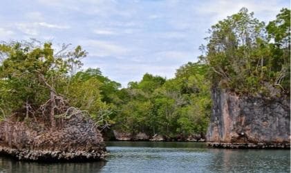 Sabana de la Mar:Los Haitises National Park: Boat Tour and Cave Visit