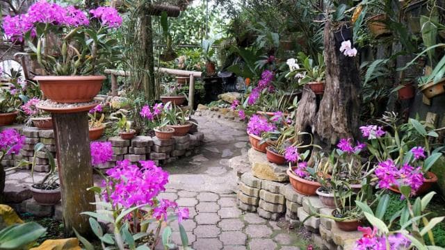 Cartago: An Unique Selections of Cartago Wonders