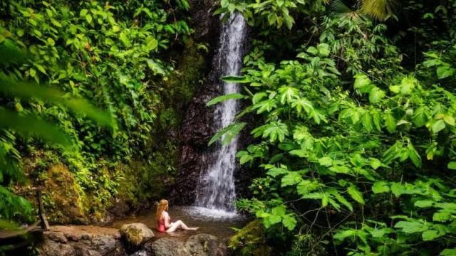 Manuel Antonio: Hanging Bridges and Waterfall Tour