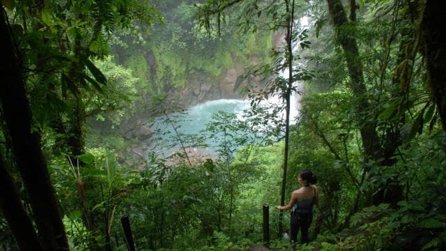 Rio Celeste Waterfall: Rain Forest Hike & Sloth Observation
