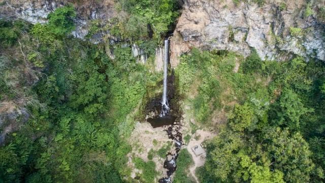 Liberia: Rainforest and Waterfalls Horseriding Tour