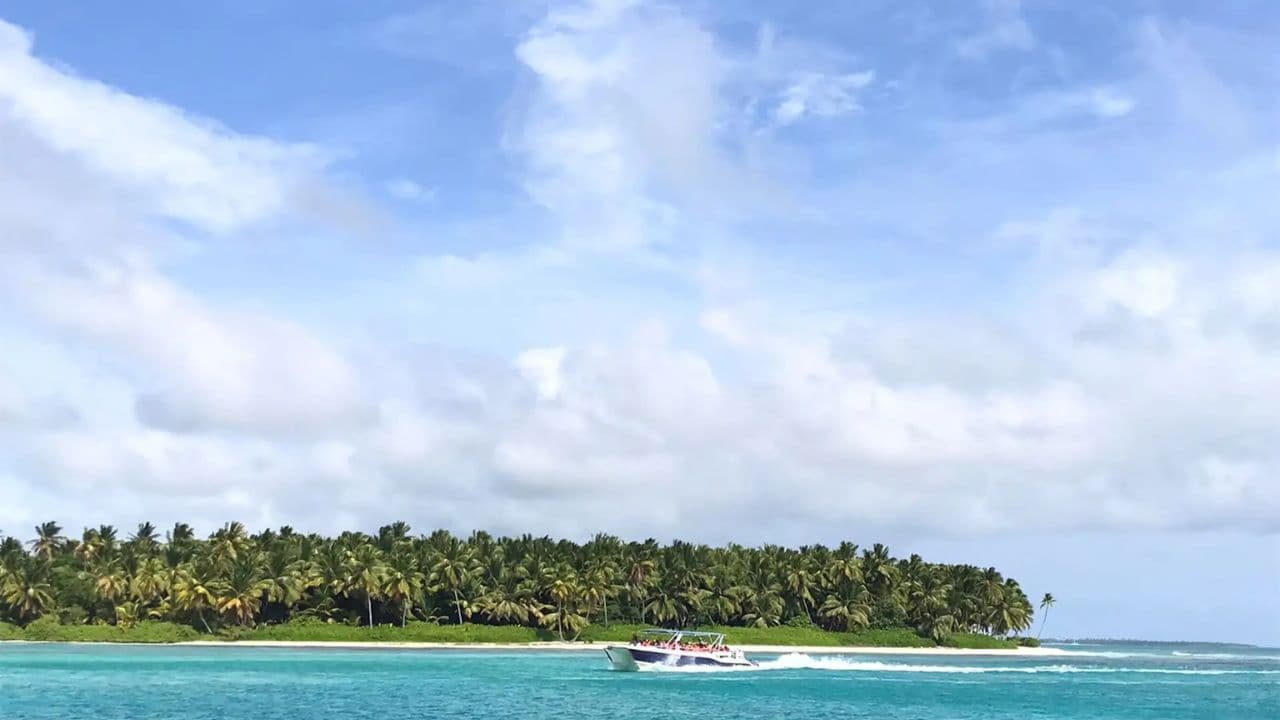 Saona Island: Catamaran Tour to Saona Island All Inclusive
