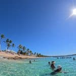 The Catalina Island Experience $110.00