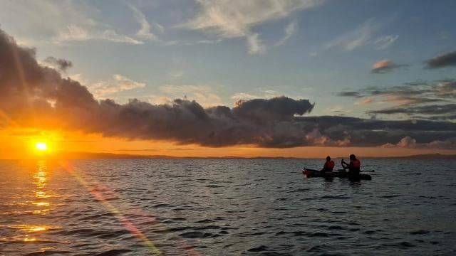 Puerto Jimenez: Kayak Adventure in the Golfo Dulce + Bioluminescence