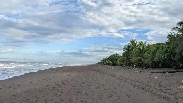 Tortuguero National Park: Best Things to Do in Tortuguero