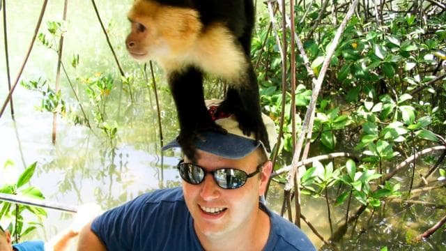 Manuel Antonio: Damas Island Mangrove Boat Tour with Lunch
