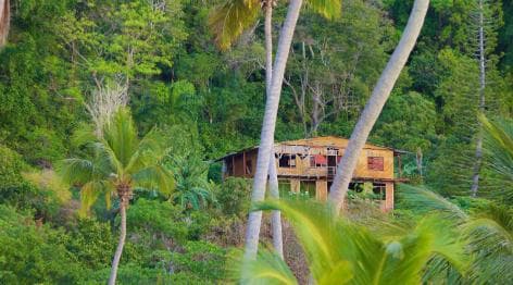 Samana Day Tour: Cayo Levantado & Rincon Bay Paradise