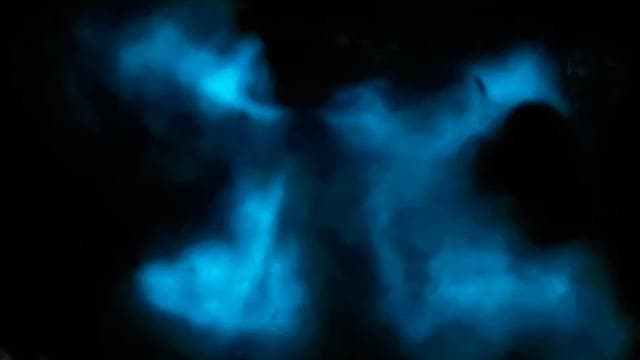 La Parguera: Bioluminescent Bay Boat Tour