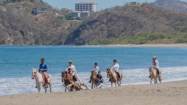 From Brasilito: 1-Hour Horseback Riding Beach Tour