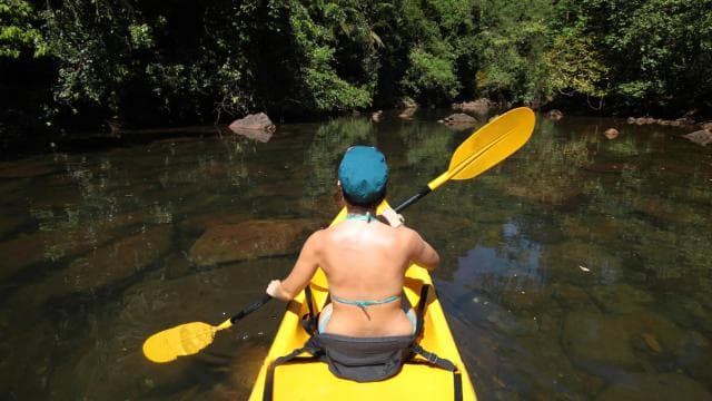 Kayaking Adventure: a 2-hour Wildlife Escape