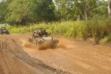 Caribbean Buggy Escape – Bayahibe Jungle & Safari