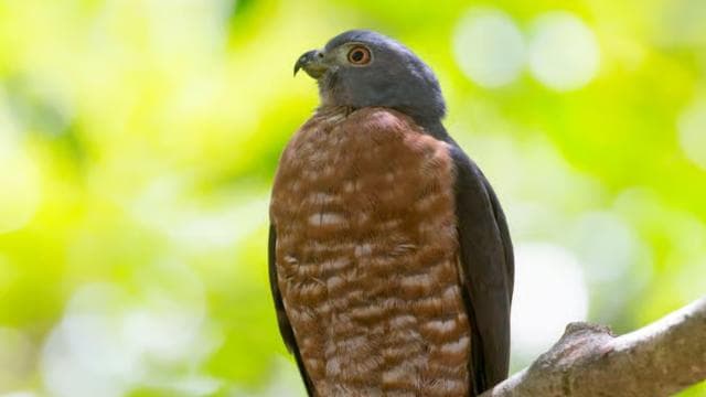 Private Tour Diria National Park Unspoken Hiking and Nature