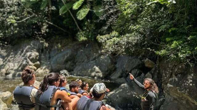 Authentic El Yunque Rainforest Adventure Waterfalls & Slides