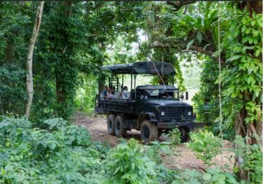 Punta Cana: Zipline, Chairlift, Buggy & Horse Ride Adventure