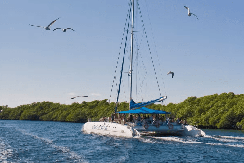 Cayo Santa María Catamaran Cruise