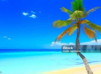 Punta Cana: Saona Island Cruise with Lunch & Open Bar