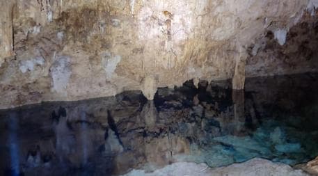 Bayahibe: National Park Jungle Walk & Snorkeling in Cenotes