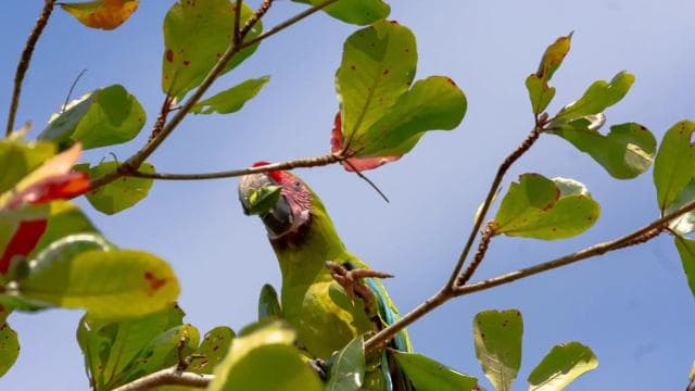 Motorboat Tour in Tortuguero National Park **BEST SELLER**